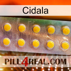 Cidala new11